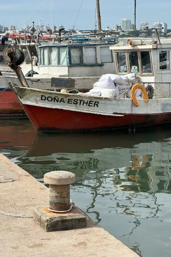 LG Lifestyle en la punta: guía de viaje a Punta del Este