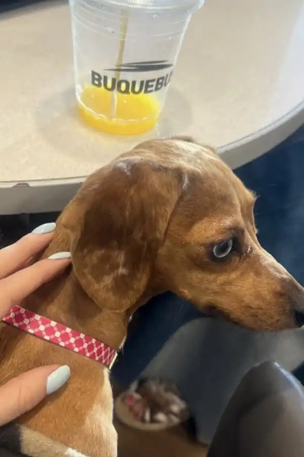 LG Lifestyle en la punta: guía de viaje a Punta del Este