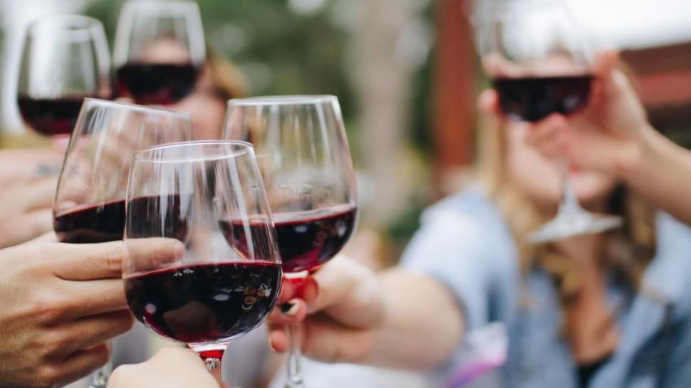 UN PLACER. Cada vez más jóvenes eligen beber vinos y vivir experiencias, estudiar y conocer distintos viñedos.