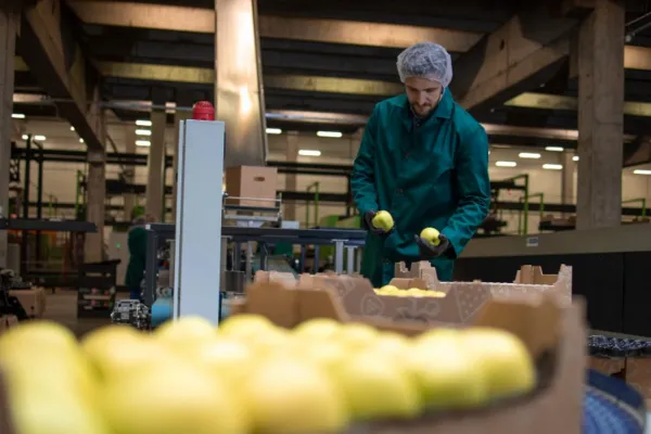 La otra cara de las PyMEs argentinas: las exportaciones crecieron en dólares y en volumen