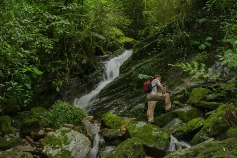 SOBRE LA PROFESIÓN.  La capacidad de adaptarse y de aprender es más importante que la condición física. / USP-T