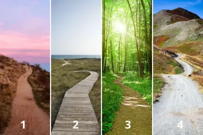 Test de personalidad: el camino que elijas revelará cuál es tu mayor motivación