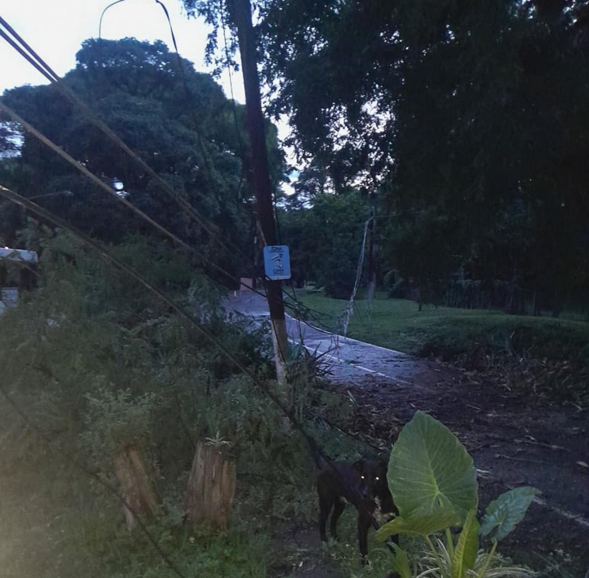 Se interrumpió el servicio en El Corte. 