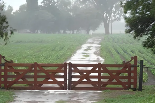 Las lluvias llevan optimismo a los productores de Tucumán y estimulan la siembra de soja