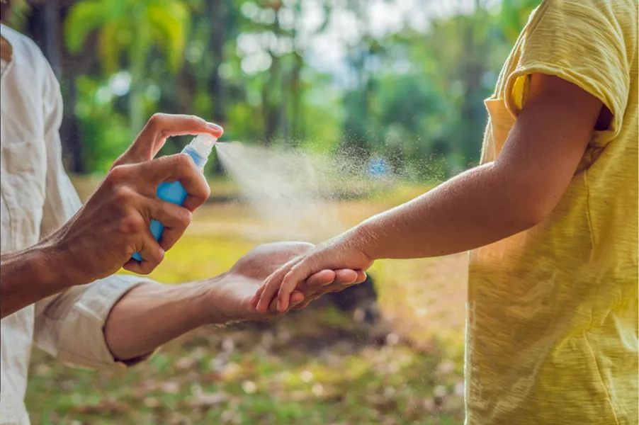 En temporada de lluvias, es esencial cuidarse contra el dengue.