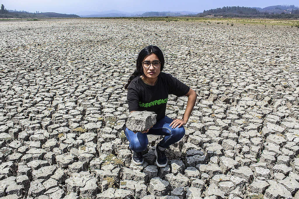 SEQUÍA. Una postal de los daños que ocasionó la falta de lluvias durante 2023 en la Argentina. / GREENPEACE