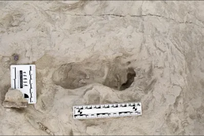 Hallaron huellas de dos especies humanas diferentes que habitaron la Tierra al mismo tiempo