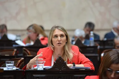 Jubilaciones de privilegio: impulsan un proyecto para fijar reglas para las asignaciones de ex presidentes y vices