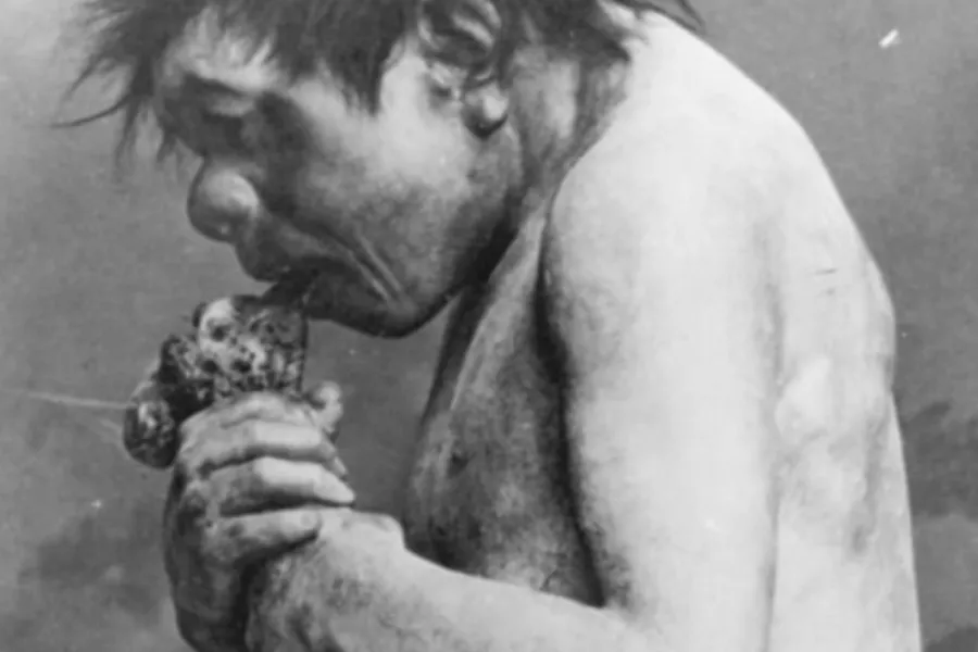 Existen regsitros de que nuestros antepasados neandertales eran caníbales. 