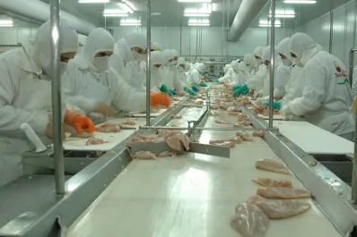 La mayor productora de pollos del país se declaró en crisis y 700 trabajadores podrían perder sus puestos