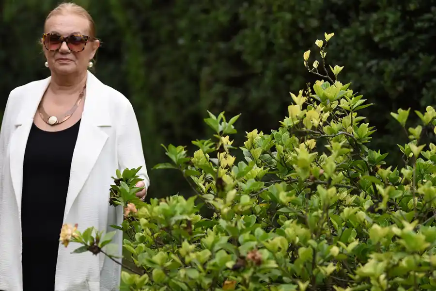 Rosana Herrera de Forgas.