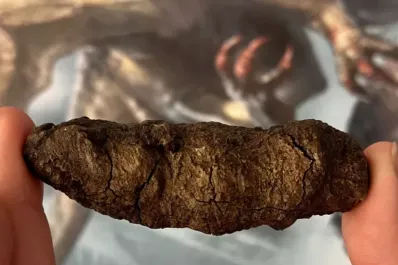 Unos singulares restos fósiles permitieron descubrir cómo los dinosaurios dominaron el mundo