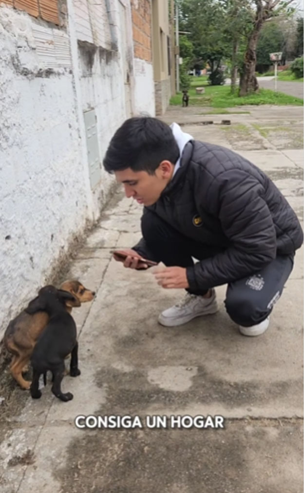 RESCATADOS. Los seguidores eligieron los nombres de los animales.