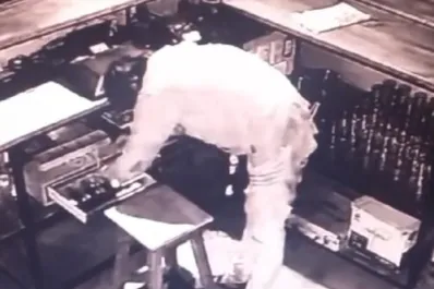 Concepción: condenaron a Minina por entrar a robar al predio del aeroclub