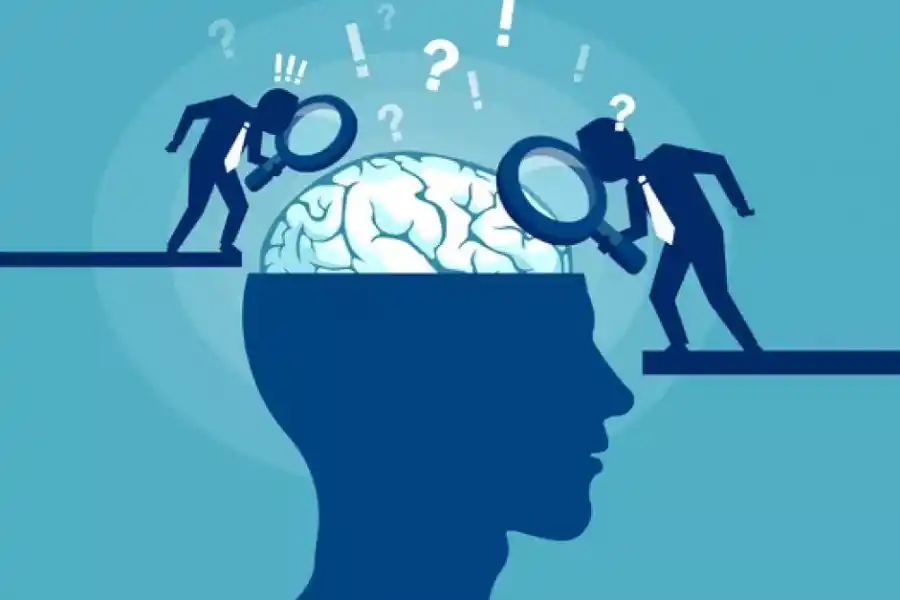 El estudio clasificó a los participantes según su personalidad y definió sus competencias lingüísticas.