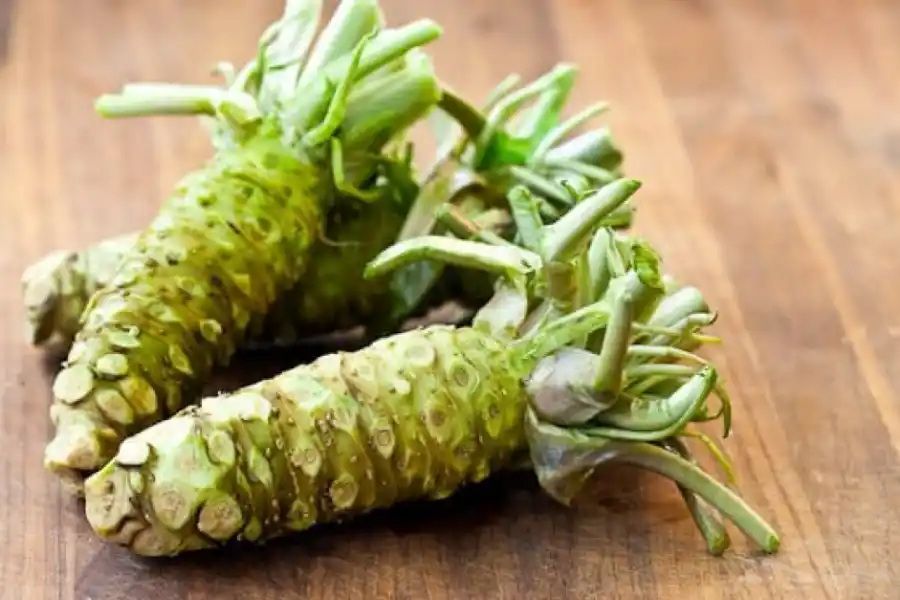 El wasabi es un condimento que proviene del tubérculo del mismo nombre. 