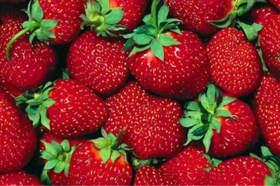 ¿Cuáles son las enfermedades que ayuda a prevenir la frutilla?