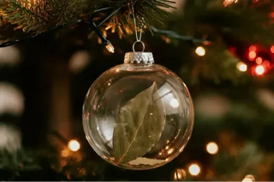 Árbol de Navidad: dónde colocar una hoja de laurel para atraer buena suerte