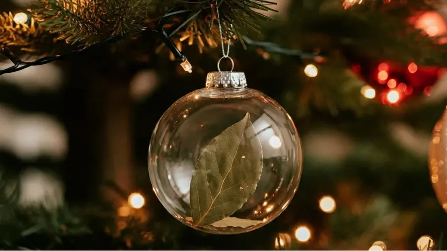 Árbol de Navidad: dónde colocar una hoja de laurel para atraer buena suerte