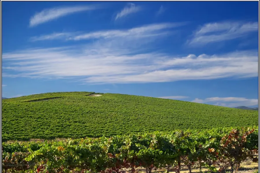 Bliss es una palabra inglesa que se traduce como felicidad.