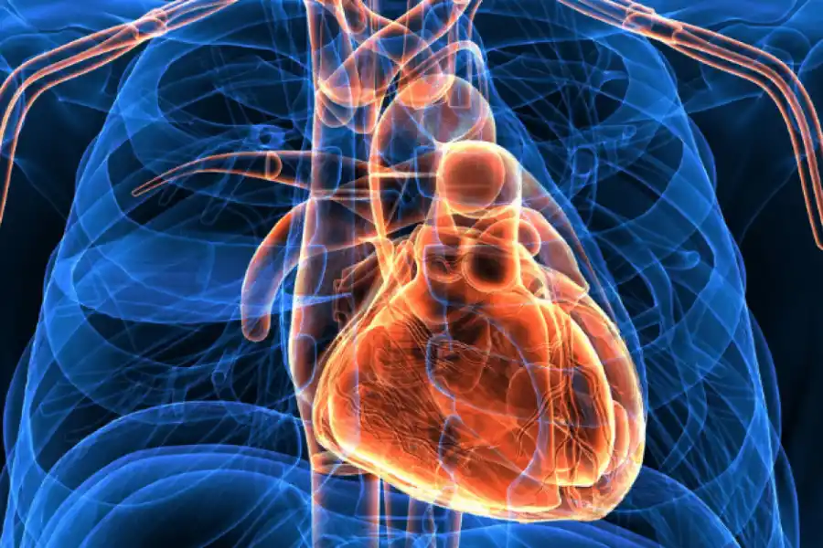 La insuficiencia cardíaca se produce por la incapacidad de nuestro corazón de bombear sangre. 