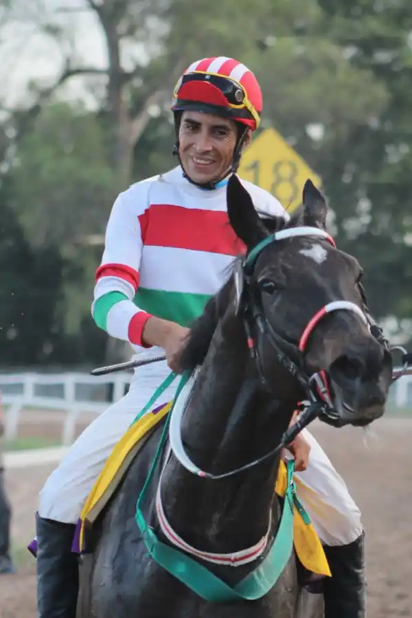 Estos son los 17 elegidos que serán premiados como los mejores en su disciplina en la Fiesta del Deporte