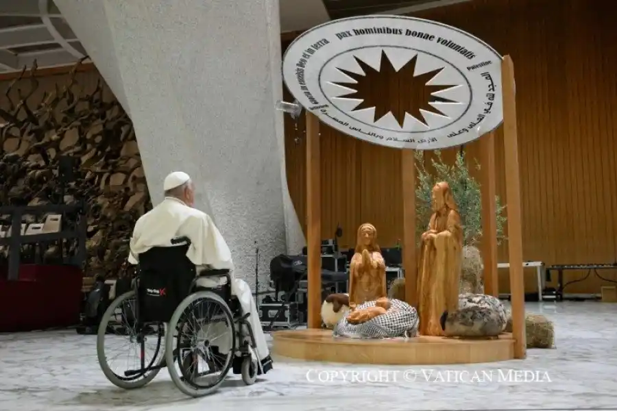 El papa Francisco recibió a quienes se encargaron de diseñar las decoraciones navideñas para el Vaticano.