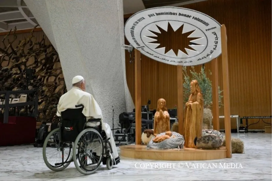 El papa Francisco recibió a quienes se encargaron de diseñar las decoraciones navideñas para el Vaticano.