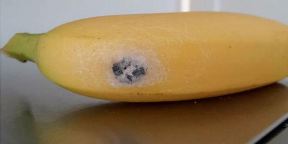 Así son las manchas blancas que pueden tener las bananas y deben alertarte.