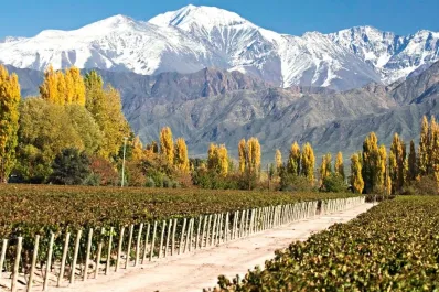 Vacaciones 2025: cuánto cuesta hospedarse por 10 días en los valles de Mendoza