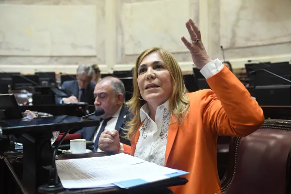 Beatriz Ávila: “Edgardo Kueider no puede volver a pisar el Senado”