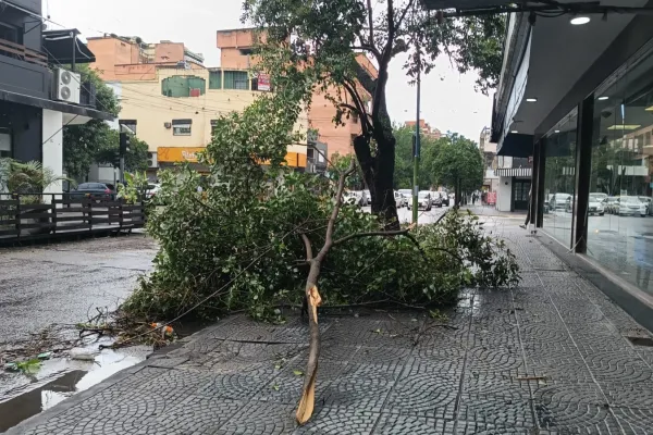 Efectos de la tormenta y el fuerte viento: unos 30.000 clientes se encuentran sin luz