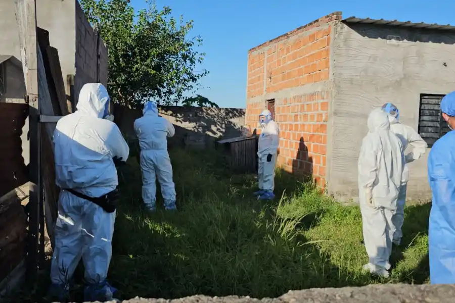 Encontraron el cadáver de una mujer enterrado en una casa de Concepción