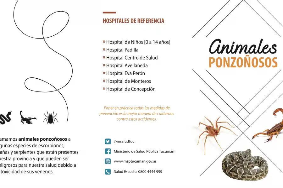 FOLLETO (1). La primera página del documento distribuido por el Ministerio de Salud Pública. / CAPTURA DE PANTALLA