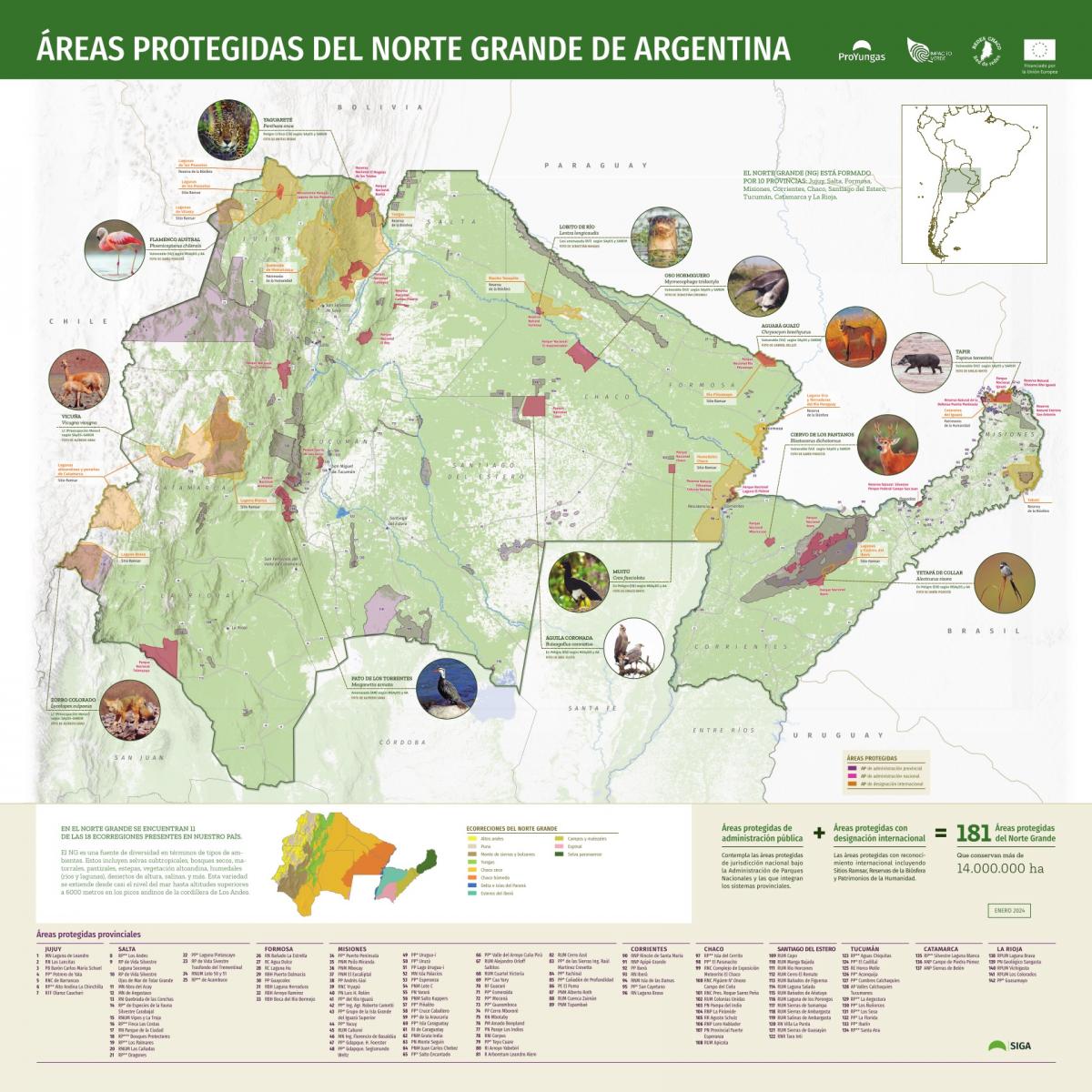 Un 19% del territorio tucumano está protegido: hay 428.300 hectáreas en conservación