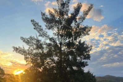 Un restó para cenar a la luz de la luna frente a El Cadillal