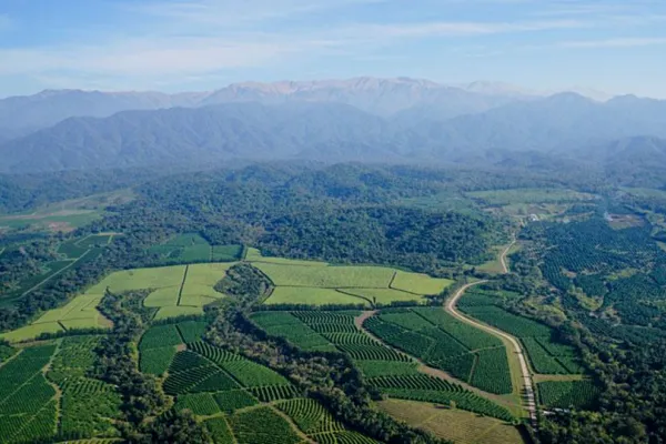 Un 19% del territorio tucumano está protegido: hay 428.300 hectáreas en conservación