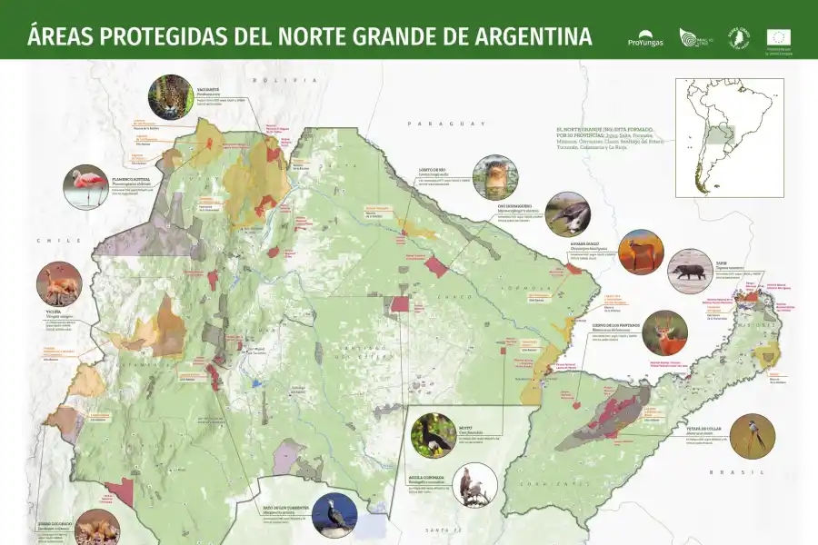 Un 19% del territorio tucumano está protegido: hay 428.300 hectáreas en conservación