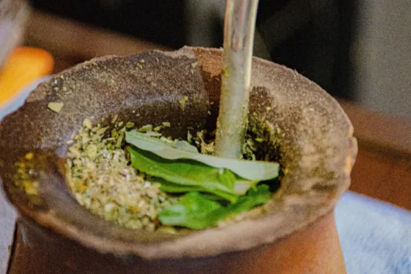 Conocé el yuyo para el mate que alivia dolores estomacales y desinflama el abdomen