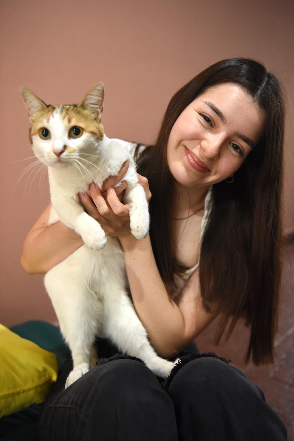 FELINOS. Muchas guarderías también reciben gatitos como “inquilinos”.