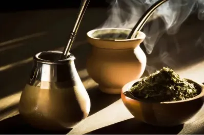 ¿El mate te provoca acidez? Descubrí las hierbas que alivian este malestar