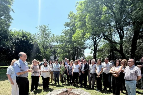 Homenaje a la ciencia: un retoño del manzano de Newton ya crece en Tucumán