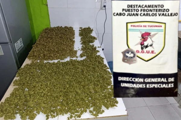 Enviaban la droga como encomienda