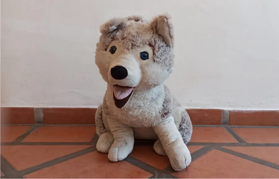 COMPAÑEROS INSEPARABLES. Los peluches ofrecían consuelo y amistad a los más pequeños. / CORTESÍA DOLORES MESSINA.