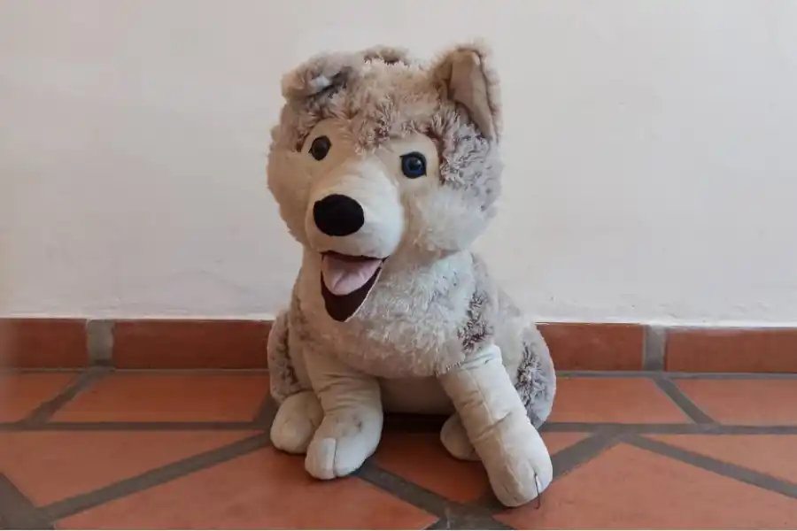 COMPAÑEROS INSEPARABLES. Los peluches ofrecían consuelo y amistad a los más pequeños. / CORTESÍA DOLORES MESSINA.