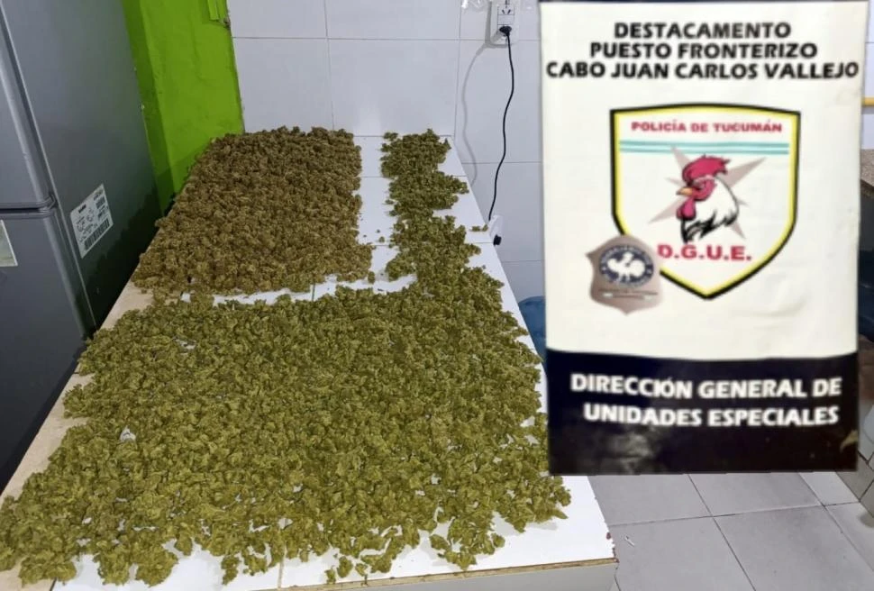 Enviaban la droga como encomienda