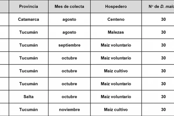 Los valores de infectividad de la chicharrita para spiroplasma se derrumbaron el último trimestre