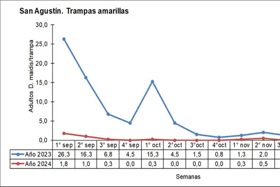 Figura 1: Número promedio de adultos de Dalbulus maidis por trampa cromática adhesiva, Los Altos, Catamarca. Septiembre - noviembre del 2023 vs septiembre - noviembre del 2024.