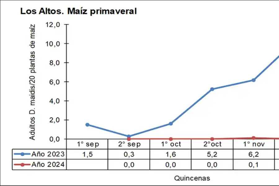 Figura 3: Número promedio de adultos de Dalbulus maidis por trampa cromática adhesiva, San Agustín, Tucumán. Septiembre - noviembre de 2023 vs septiembre - noviembre de 2024.