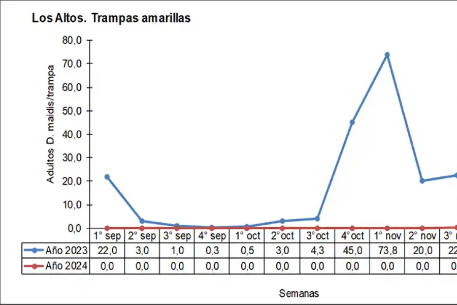 Figura 2: Número promedio de adultos de Dalbulus maidis en 20 plantas de maíz, Los Altos, Catamarca. Septiembre - noviembre del 2023 (maíz para producción de semillas) vs septiembre - noviembre del 2024 (maíz para picado).